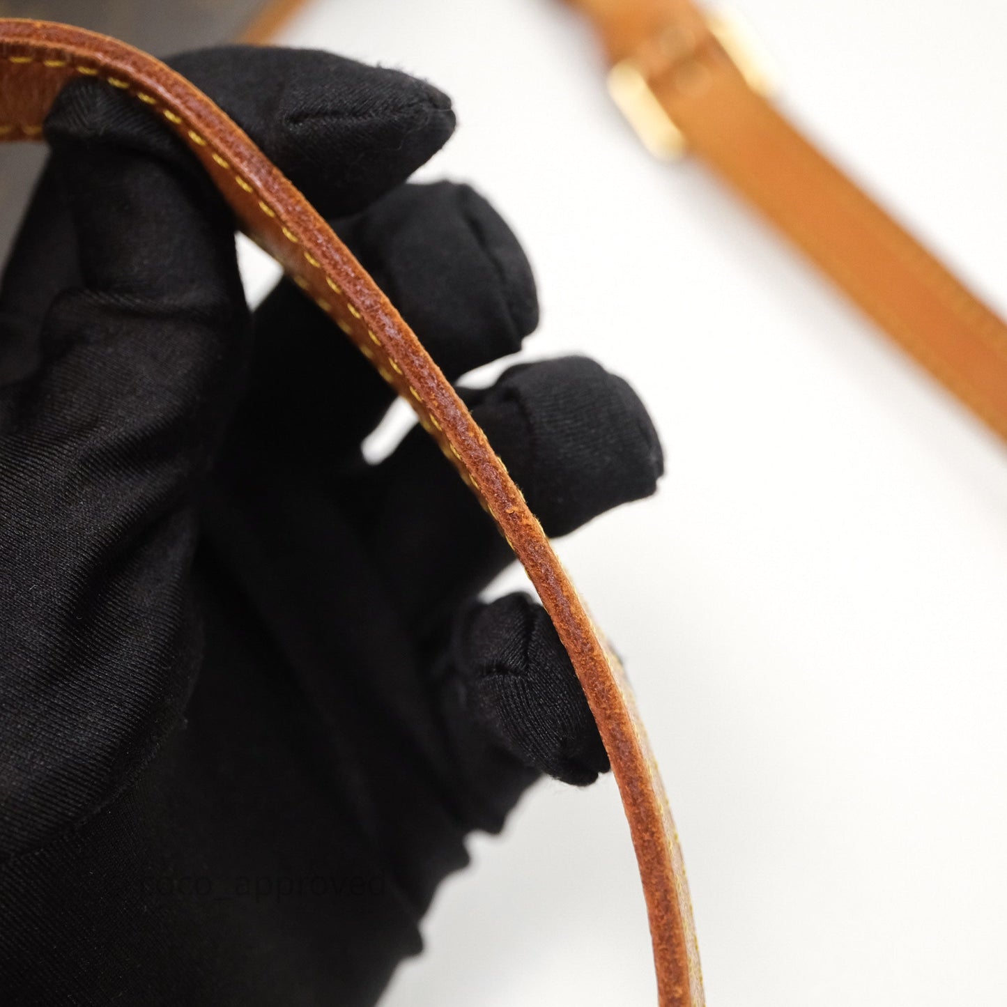 Louis Vuitton Vintage Diane Bag Monogram Canvas