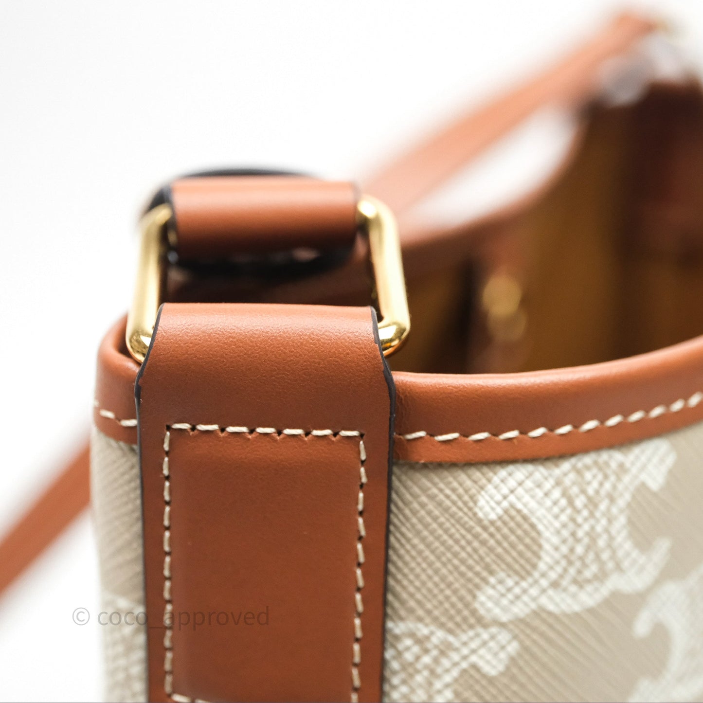 Celine Small Bucket Triomphe Canvas Grege Calfskin