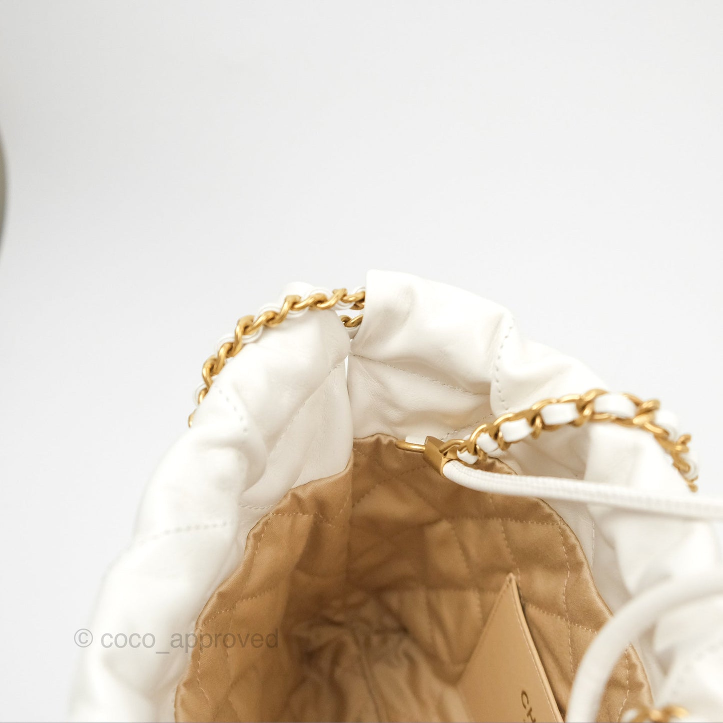 Chanel 22 Mini Bag White Crumpled Calfskin