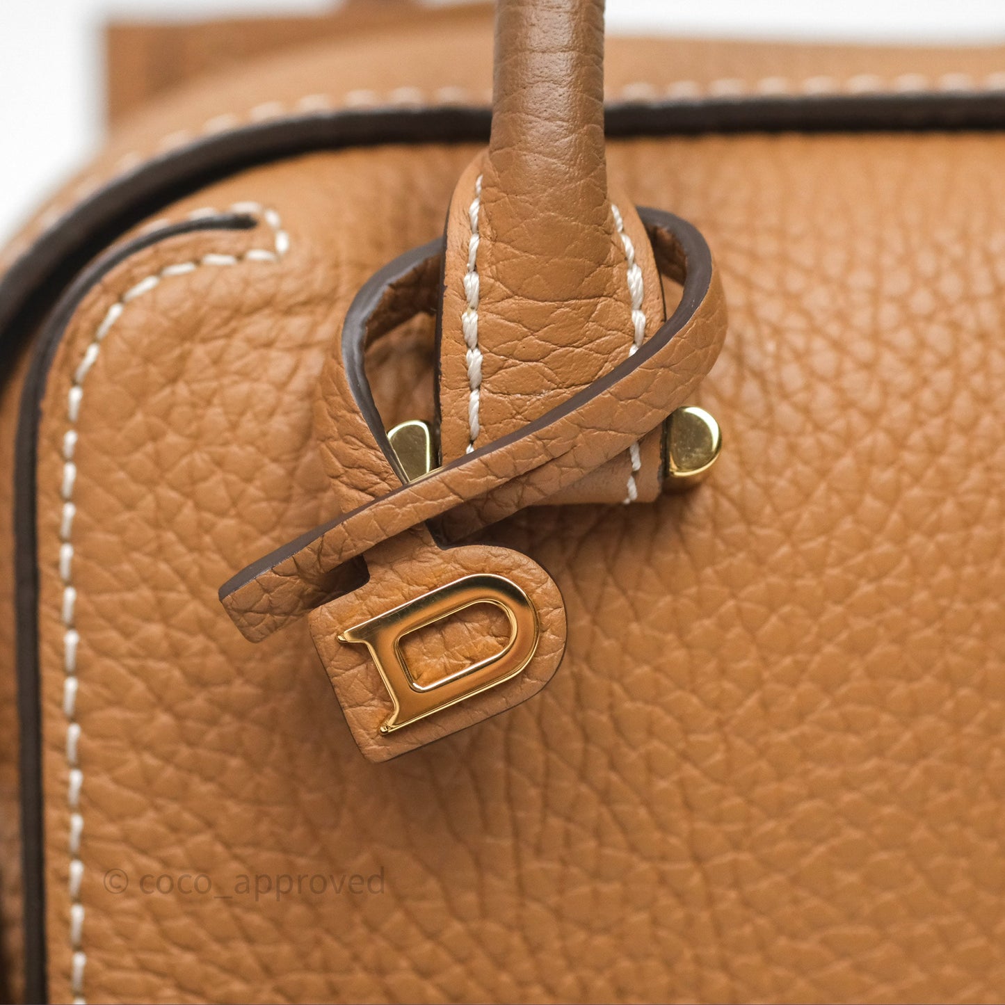 Delvaux Cool Box Nano Taurillon Soft Grained Calfskin Vegetal Ivory Gold Hardware