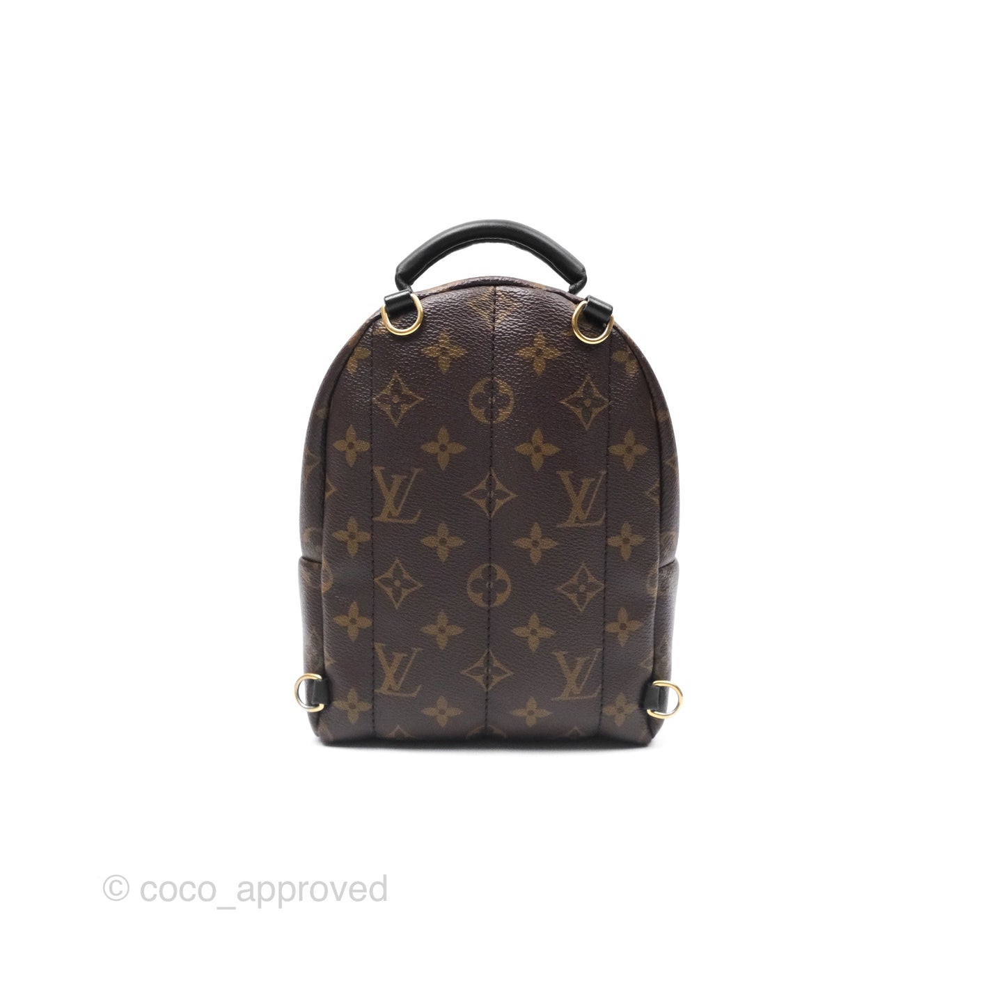 Louis Vuitton Monogram Mini Palm Springs Backpack⁣