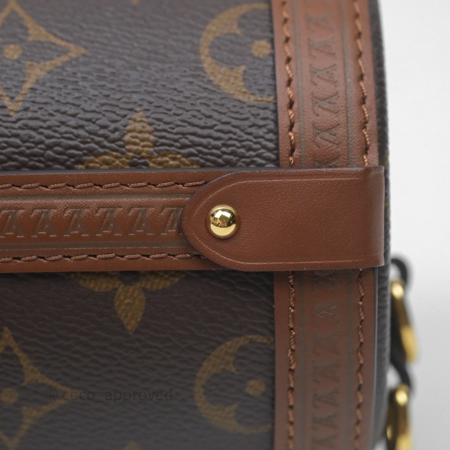 Louis Vuitton Papillon Trunk Monogram Coated Canvas