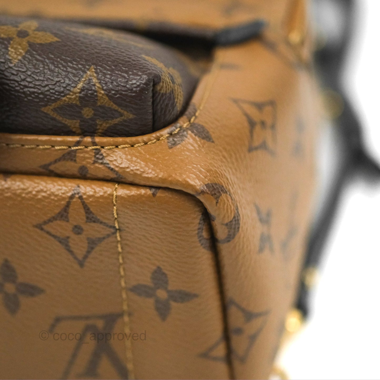 Louis Vuitton Reverse Mini Palm Springs Backpack⁣