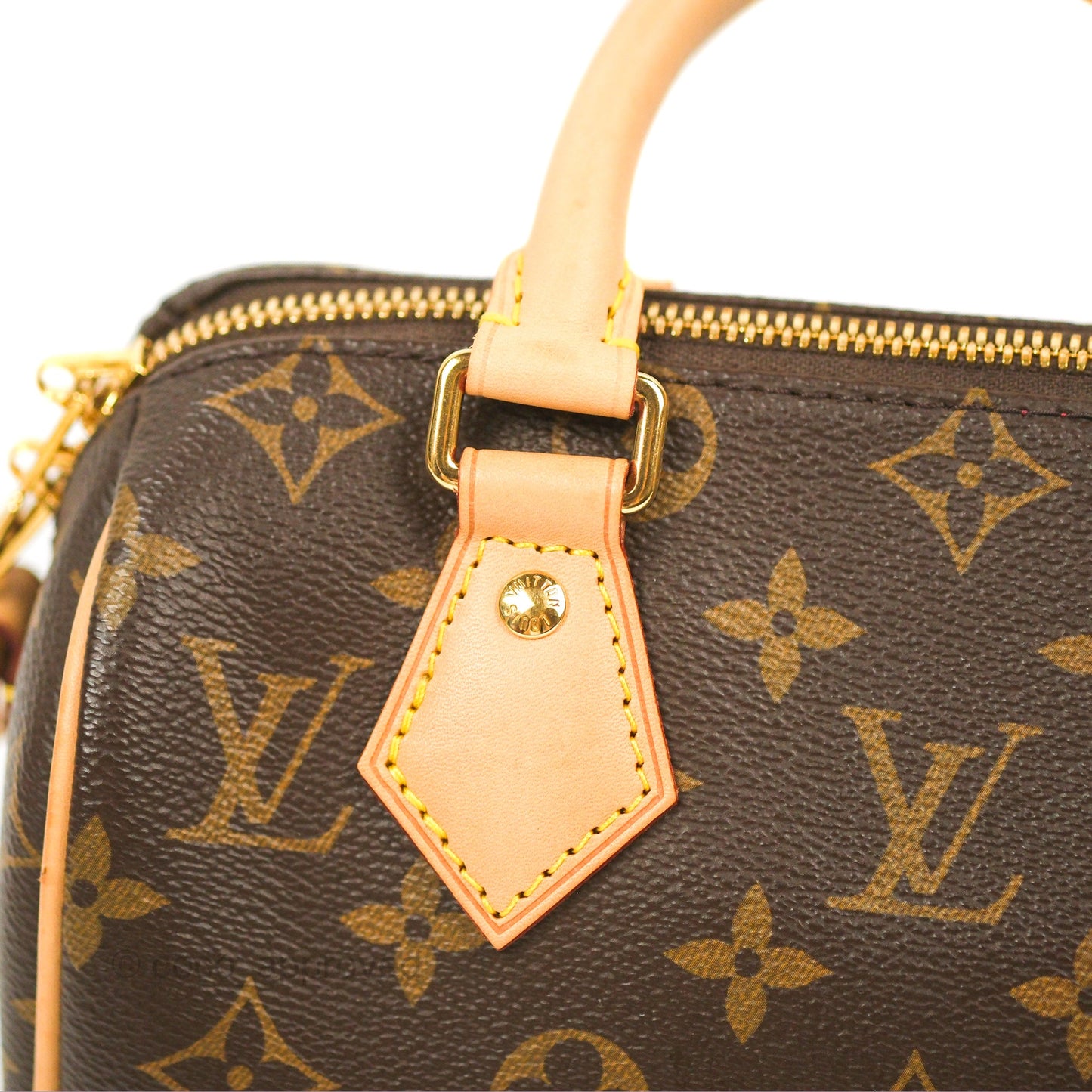 Louis Vuitton Speedy Bandoulière 20 Monogram