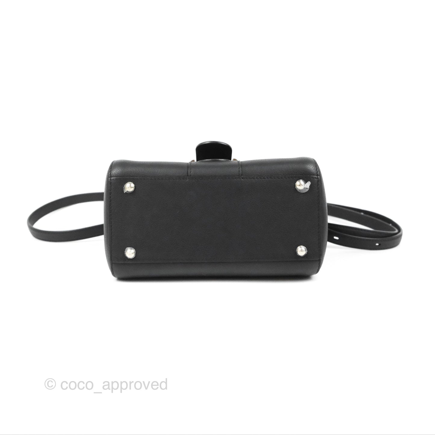 Delvaux Mini Brillant Bag Vegetal Rodeo Black Calf Silver Hardware