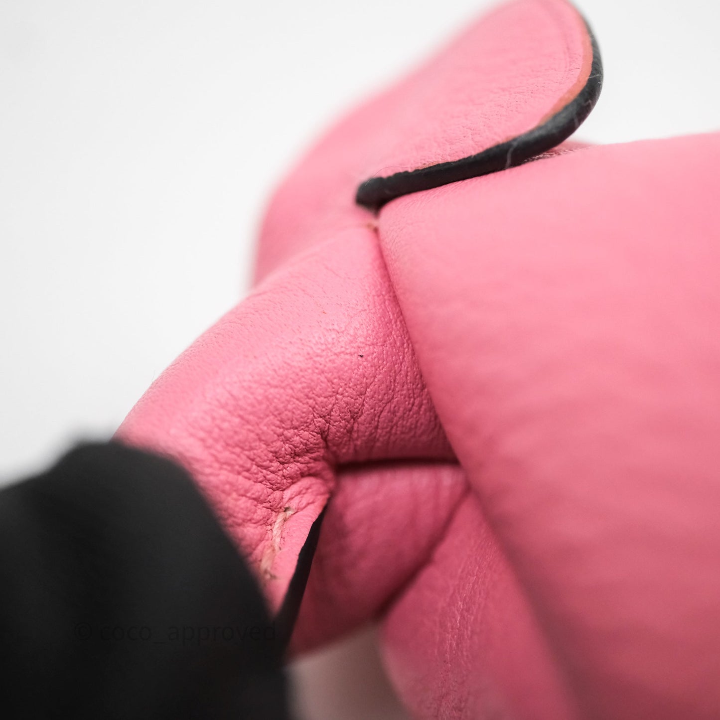 Loewe Elephant Coin Case Pink