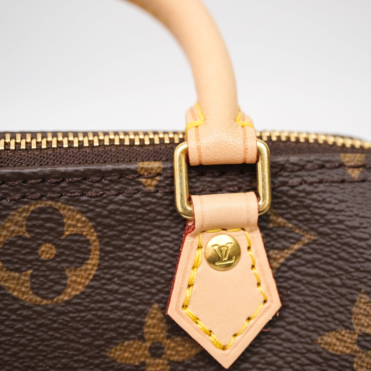 Louis Vuitton Nano Speedy Monogram Canvas