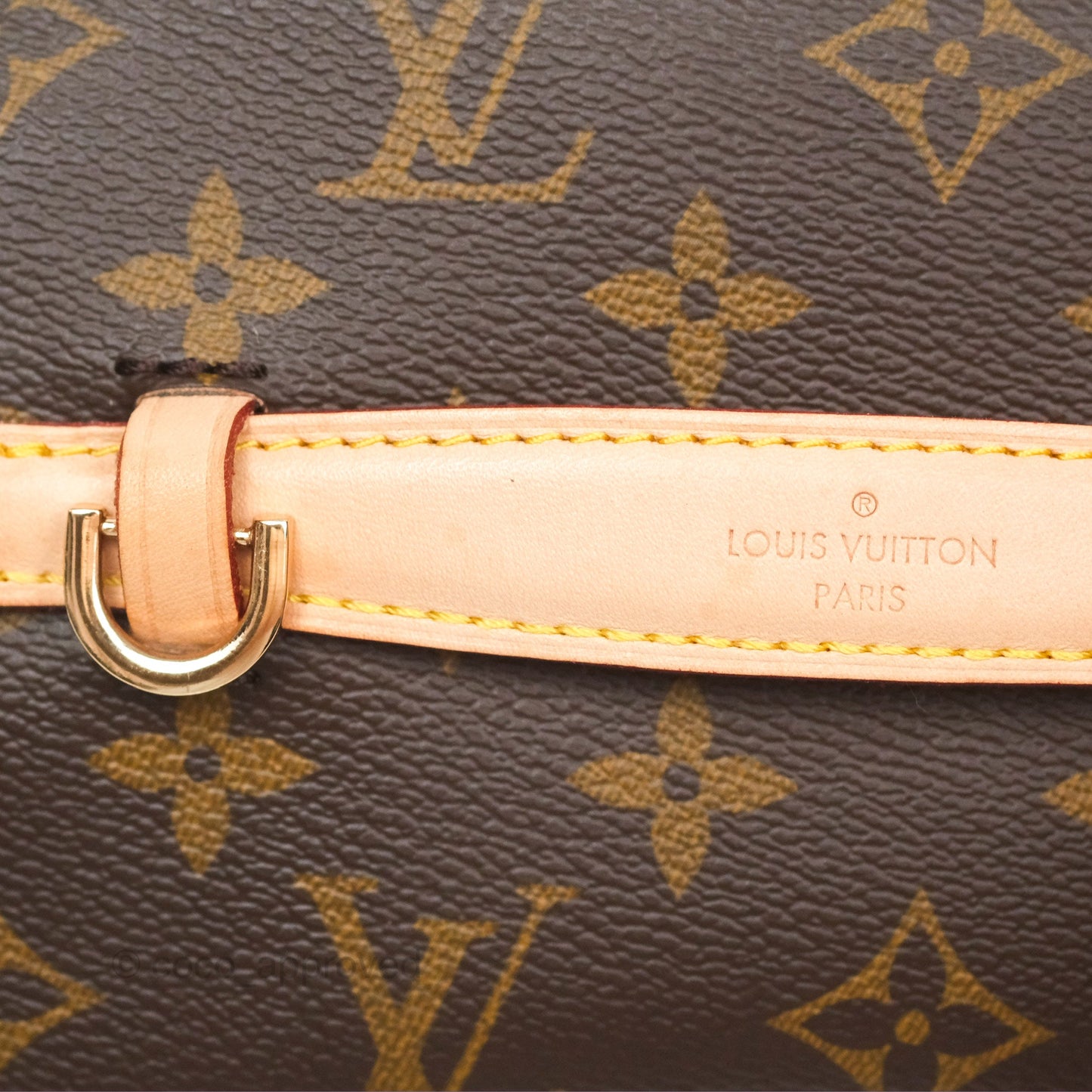 Louis Vuitton Monogram Nice Mini