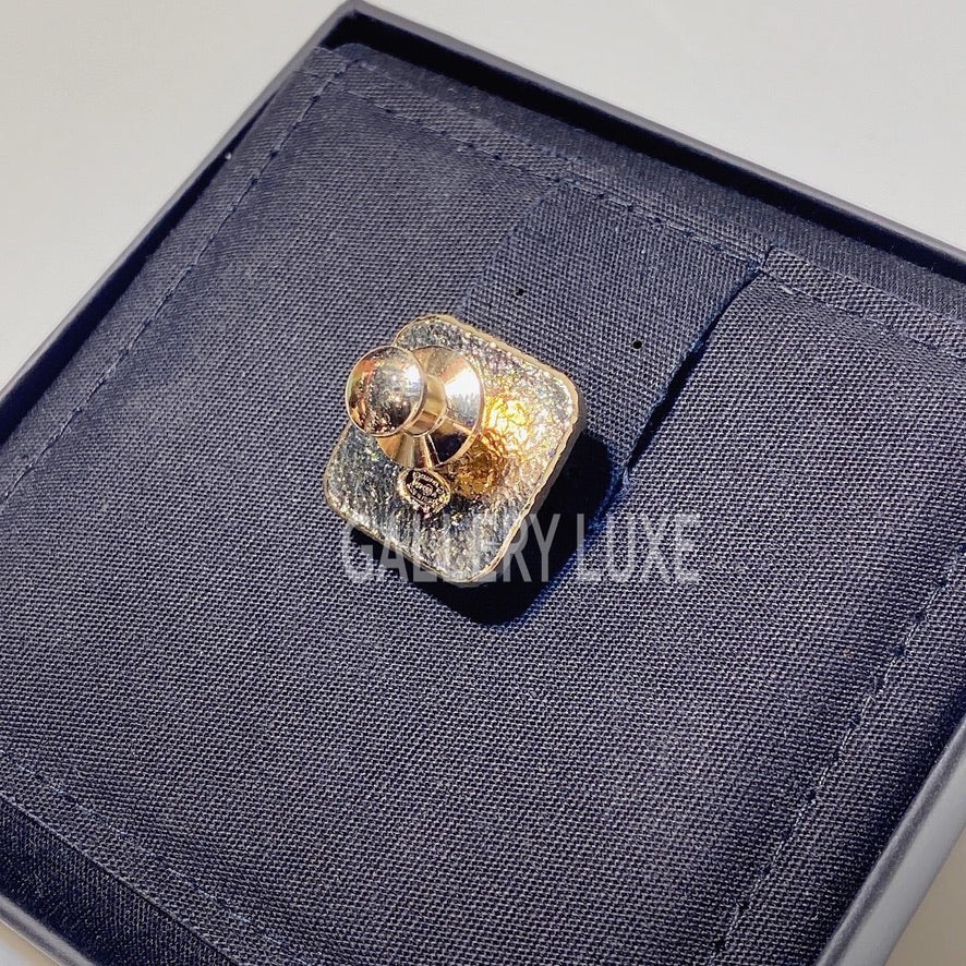 No.3306-Chanel Metal & Resin  Brooch