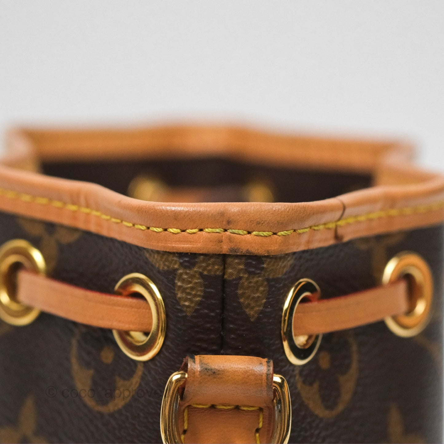 Louis Vuitton Nano Noe Monogram Canvas