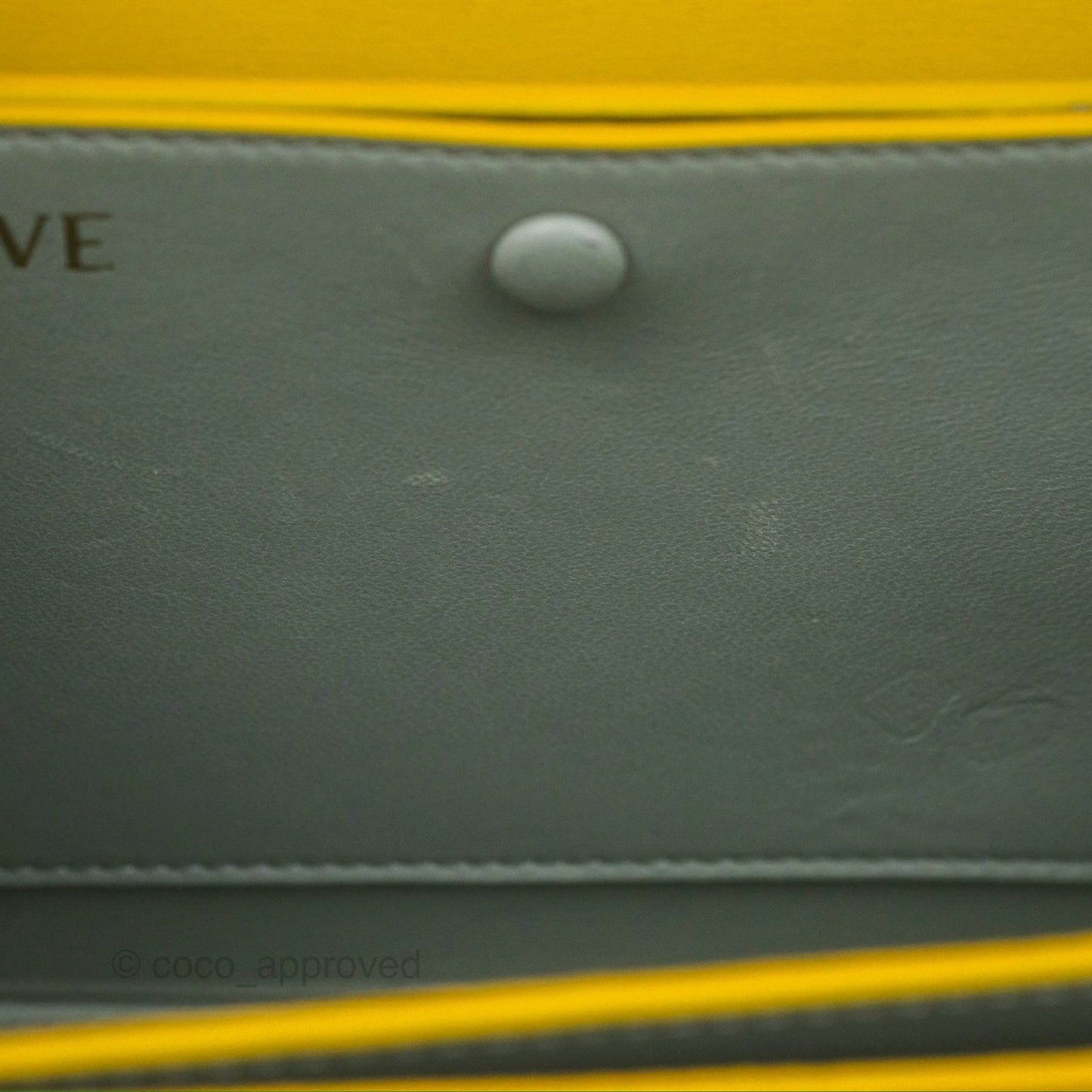 Loewe Small Goya Bag Yellow Silk Calfskin