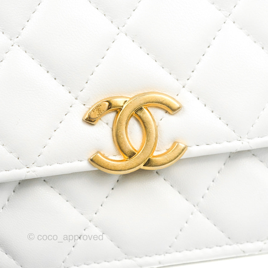 Chanel Mini Resin Chain Wallet on Chain WOC White Lambskin Gold Hardware