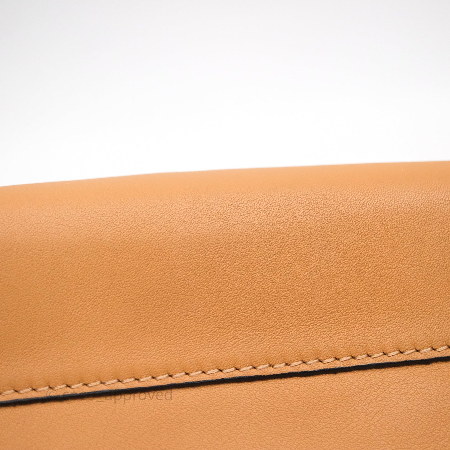 Loewe Flamenco Clutch Mini Bag Gold
