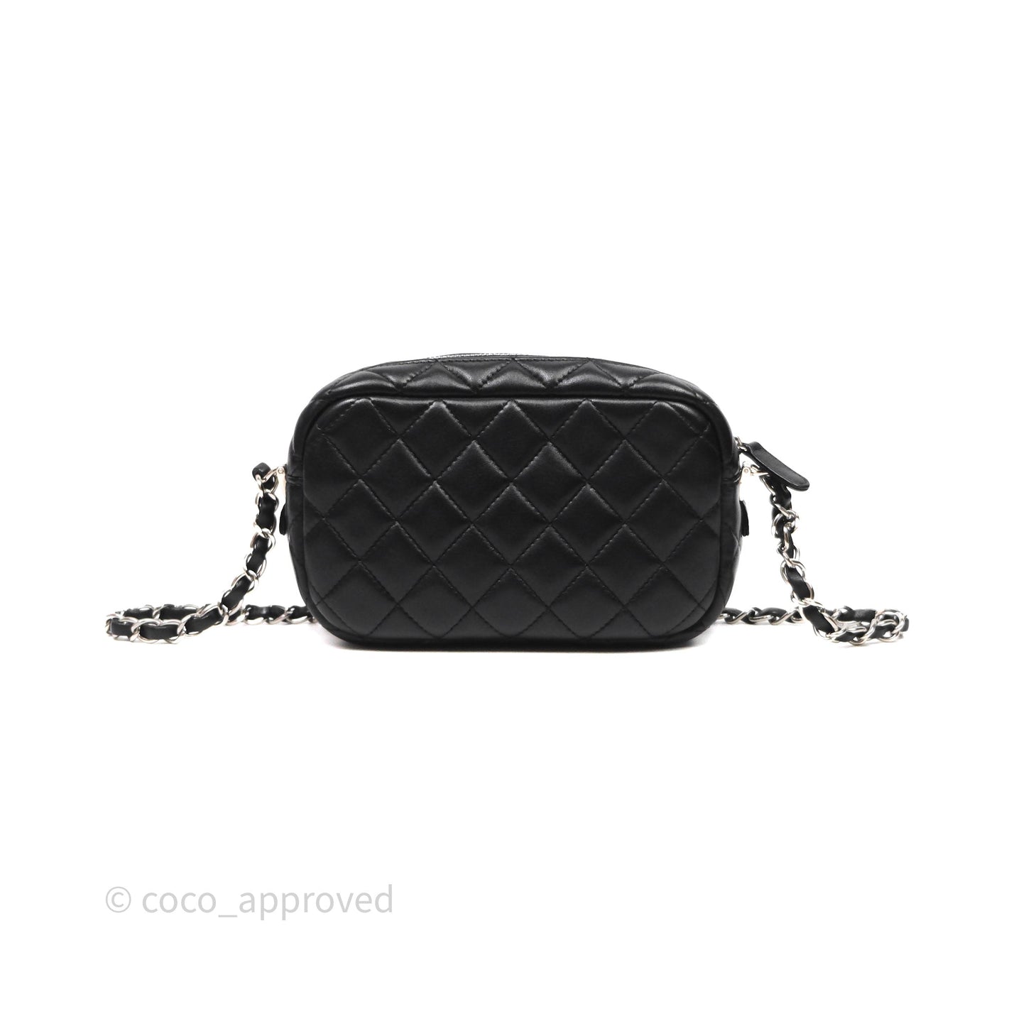 Chanel Camera Case Bag Lambskin Silver Hardware