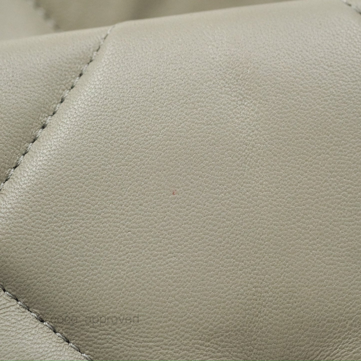 Chanel 19 Small Sage Green Mixed Hardware