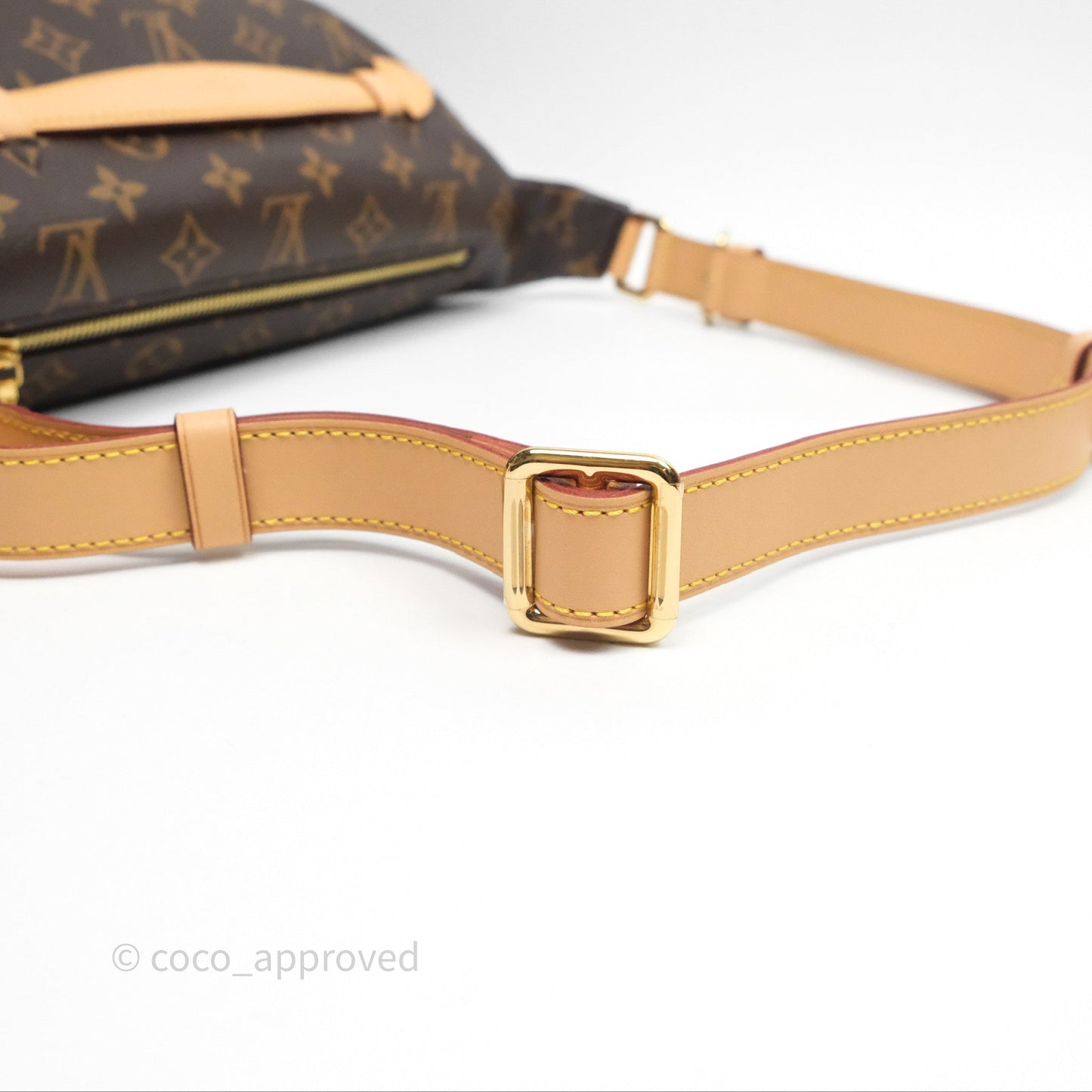 Louis Vuitton Bum Bag Monogram Canvas