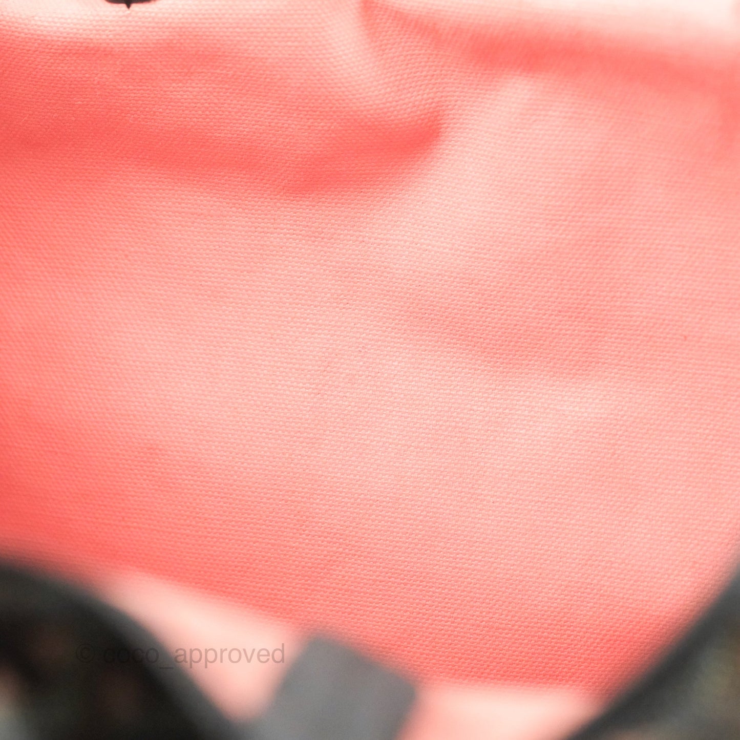 Goyard St. Louis Tote PM Clairvoie Black/Pink Japan Edition