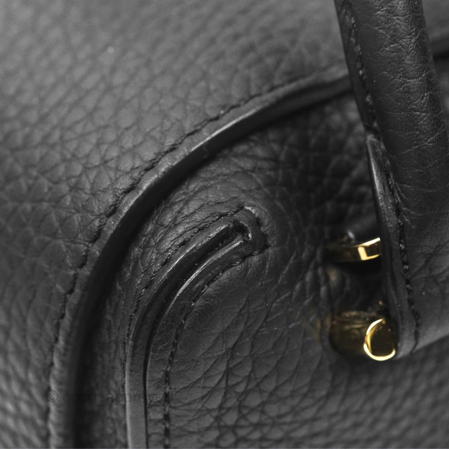 Delvaux Cool Box Nano Taurillon Soft Grained Calfskin Black Gold Hardware