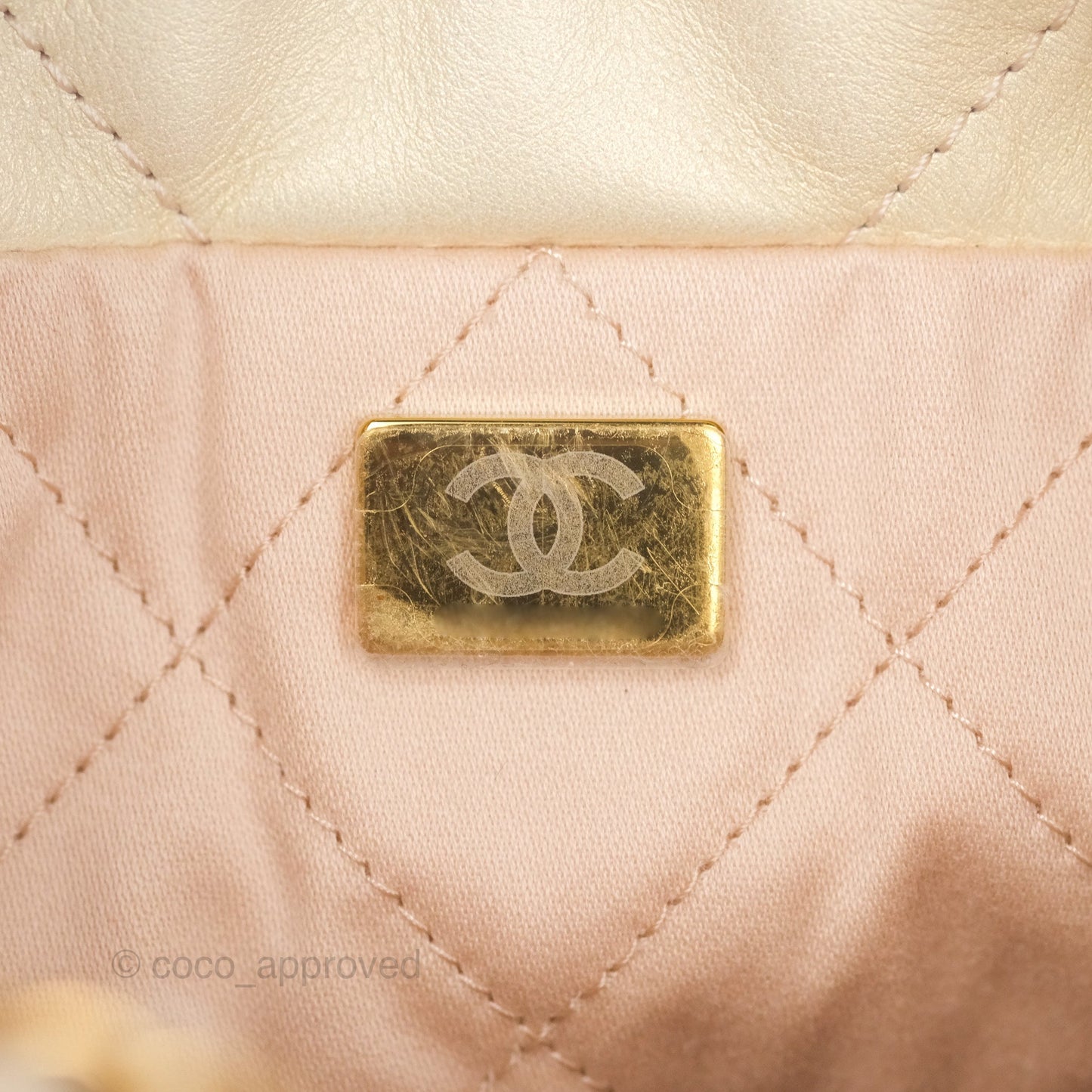 Chanel 22 Mini Bag Iridescent Light Pearly Calfskin Aged Gold Hardware