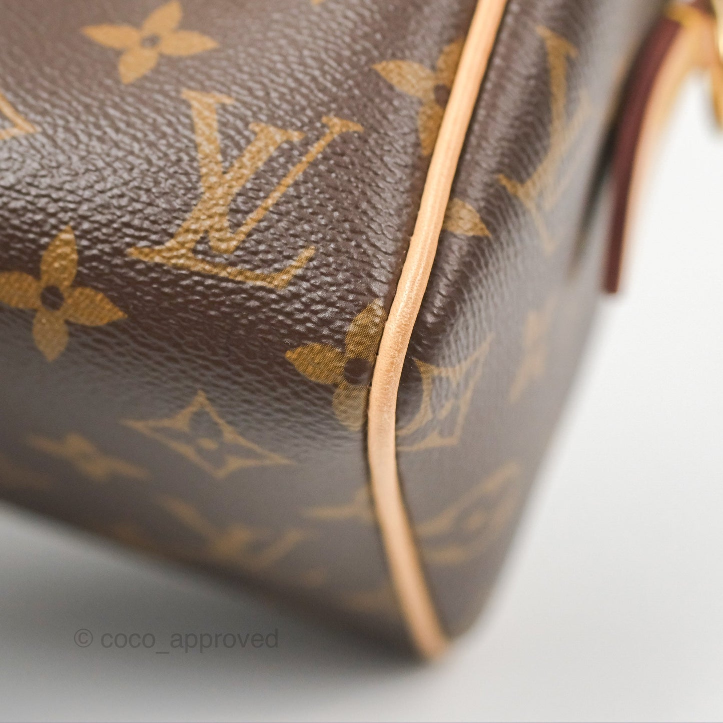 Louis Vuitton Speedy Bandoulière 20 Monogram