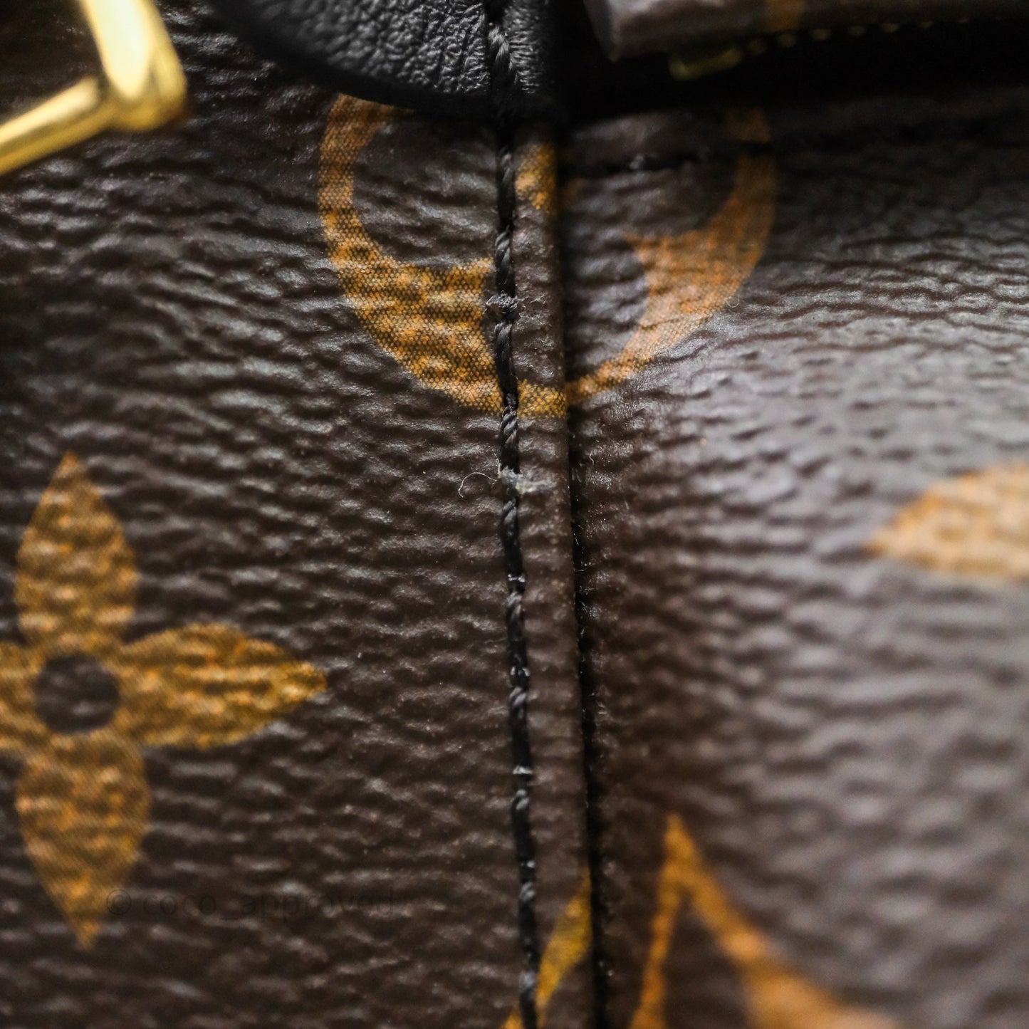 Louis Vuitton Palm Springs Backpack⁣ Monogram PM