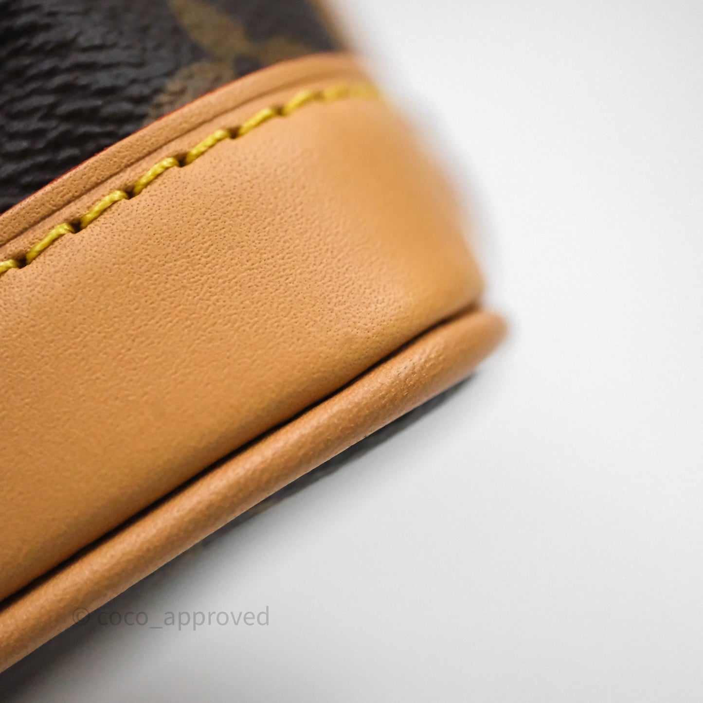Louis Vuitton Nano Noe Monogram Canvas