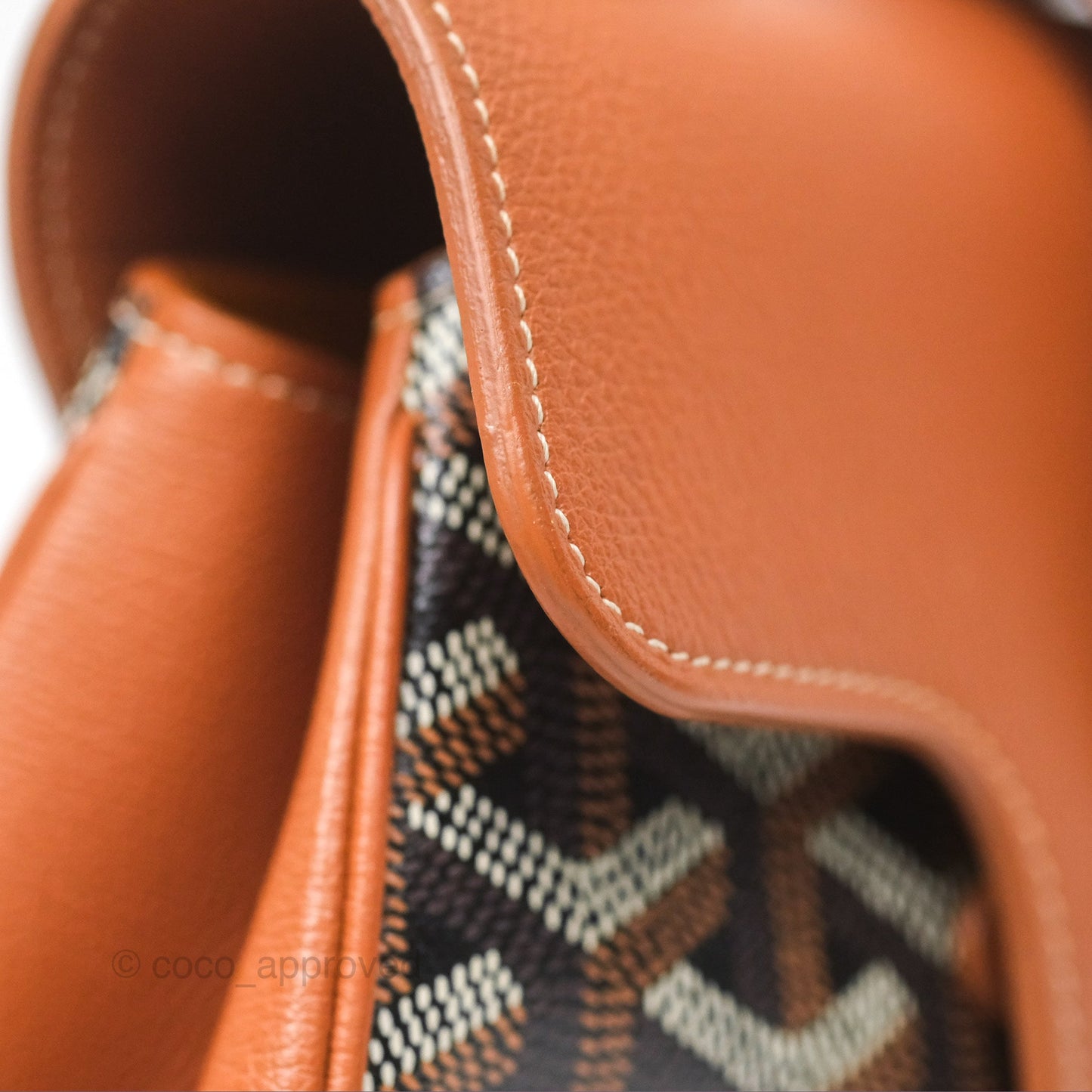 Goyard Saïgon Mini Bag Tan Goyardine Canvas/Chevroches Calfskin