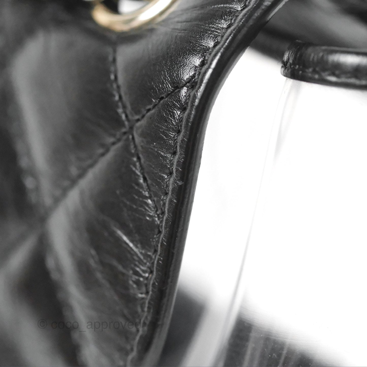 Chanel Aquarium PVC Backpack Black Crumpled Calfskin Silver Hardware