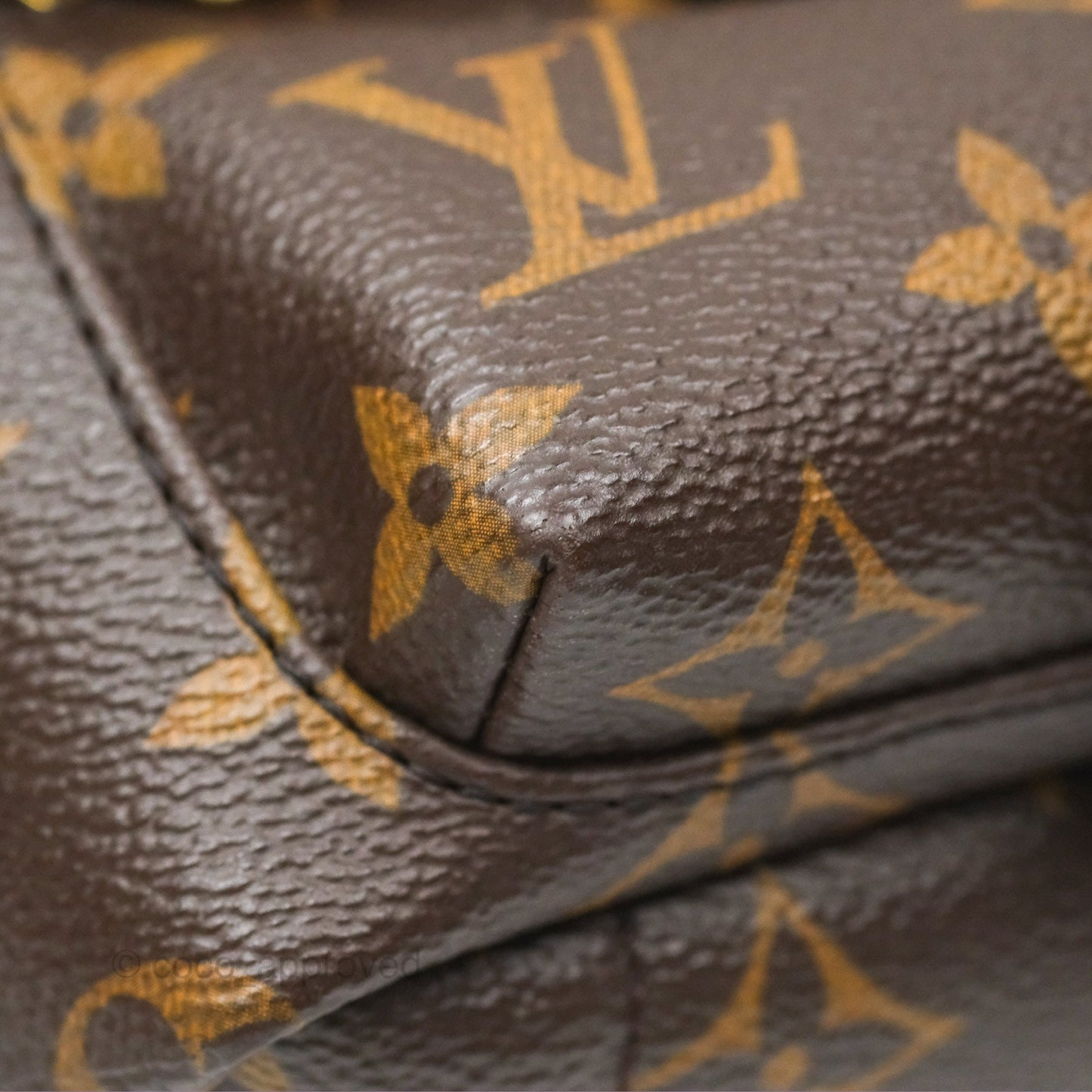 Louis Vuitton Mini Palm Springs Backpack⁣ Monogram Canvas