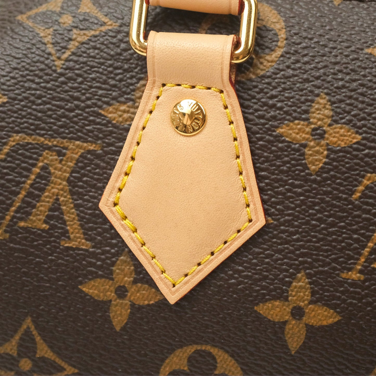 Louis Vuitton Speedy Bandoulière 20 Monogram