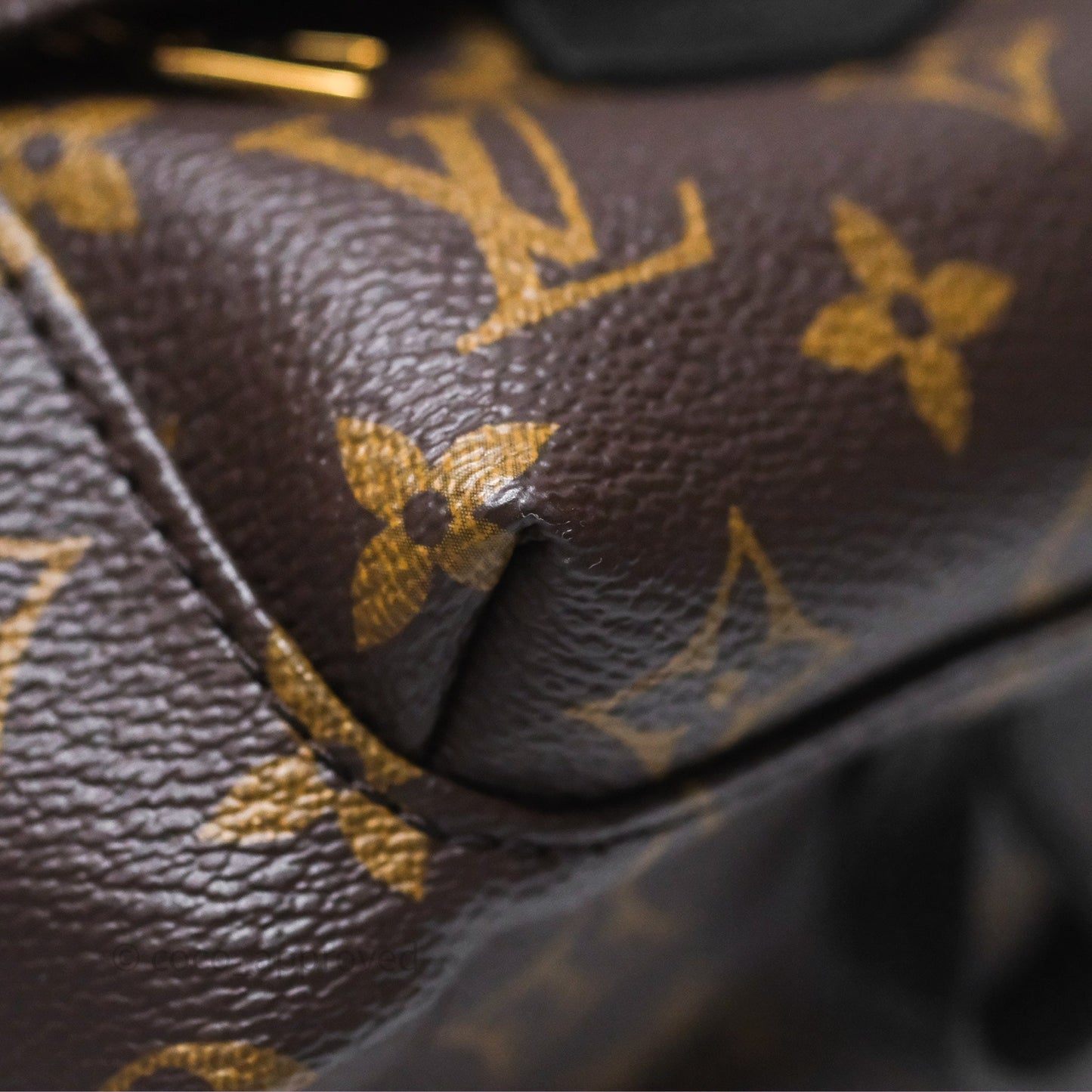 Louis Vuitton Mini Palm Springs Backpack⁣ Monogram