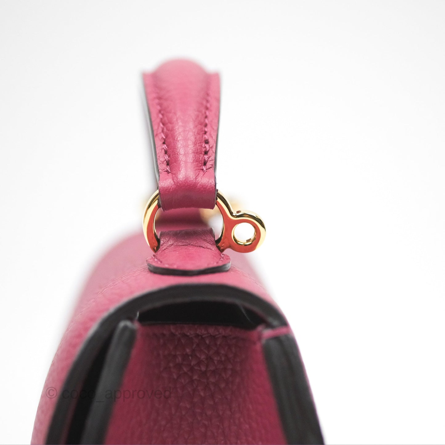 Moynat Réjane Nano Litchi Taurillon Blush Leather