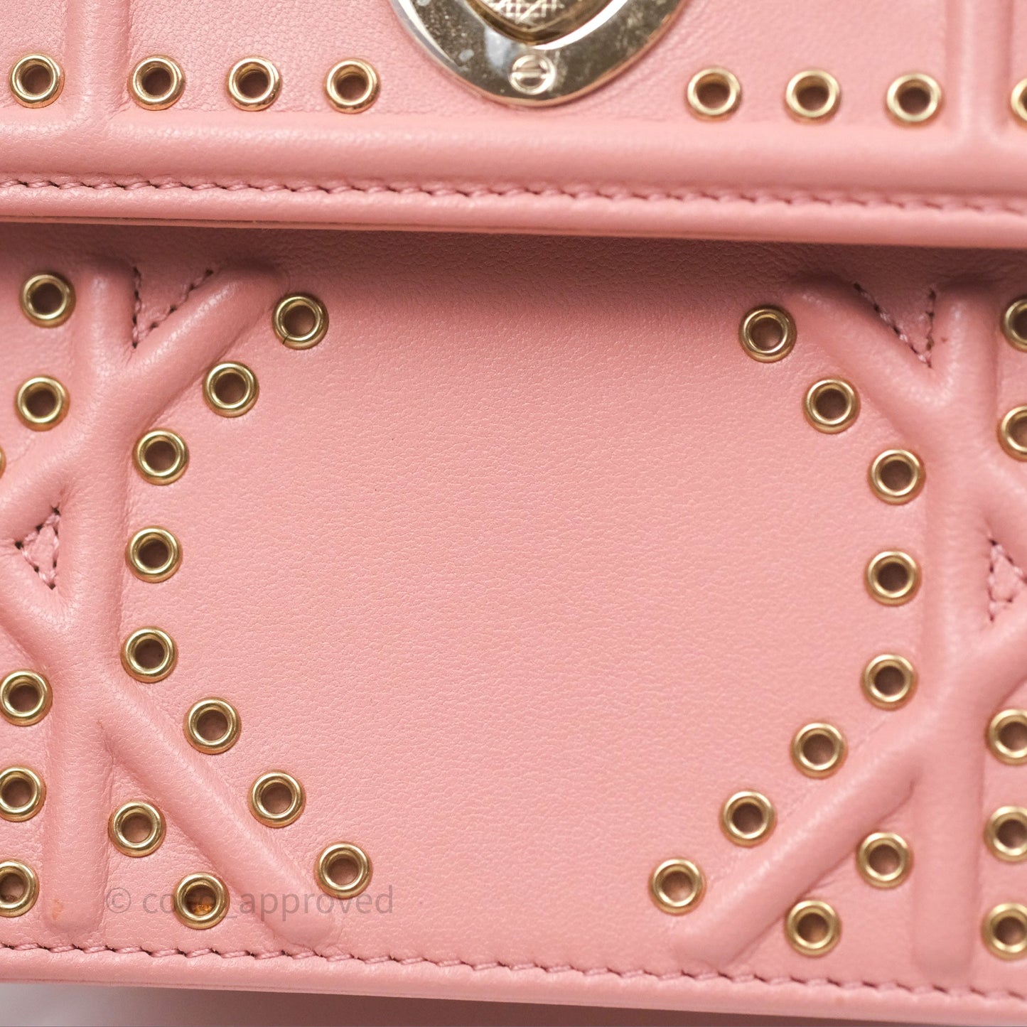 Christian Dior Lambskin Studded Vertical Diorama Dust Candy