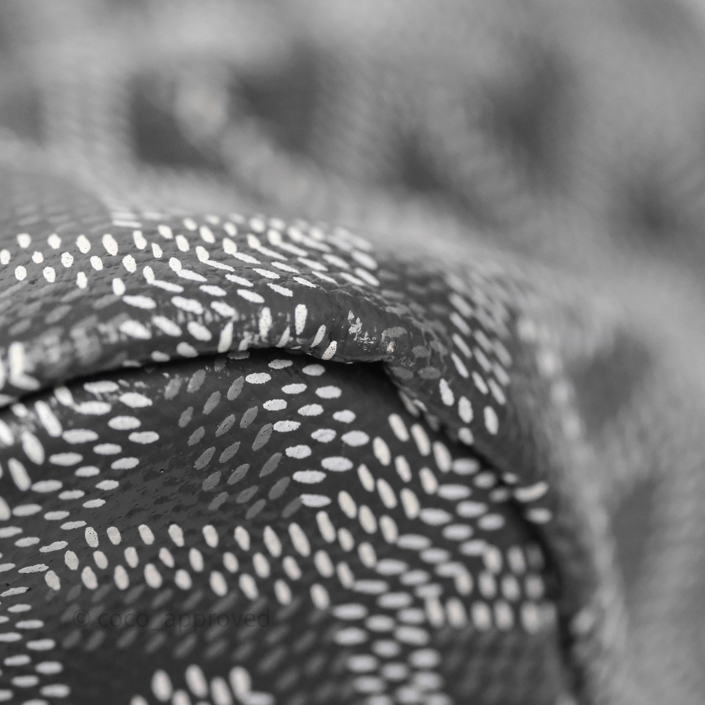 Goyard Bohème Hobo Bag Grey Goyardine Canvas