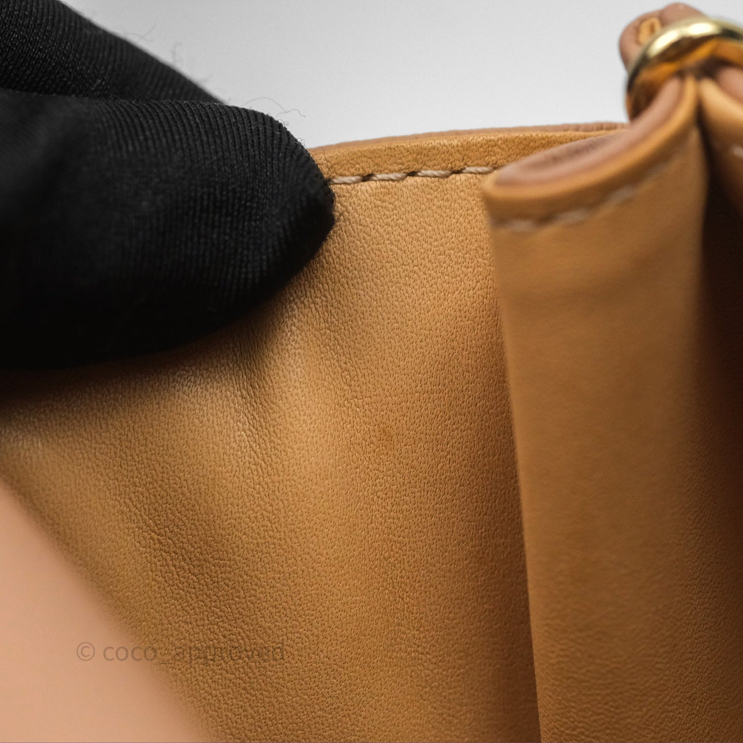 Delvaux Mini Brillant Bag Vison Grained Calfskin Gold Hardware with Twilly