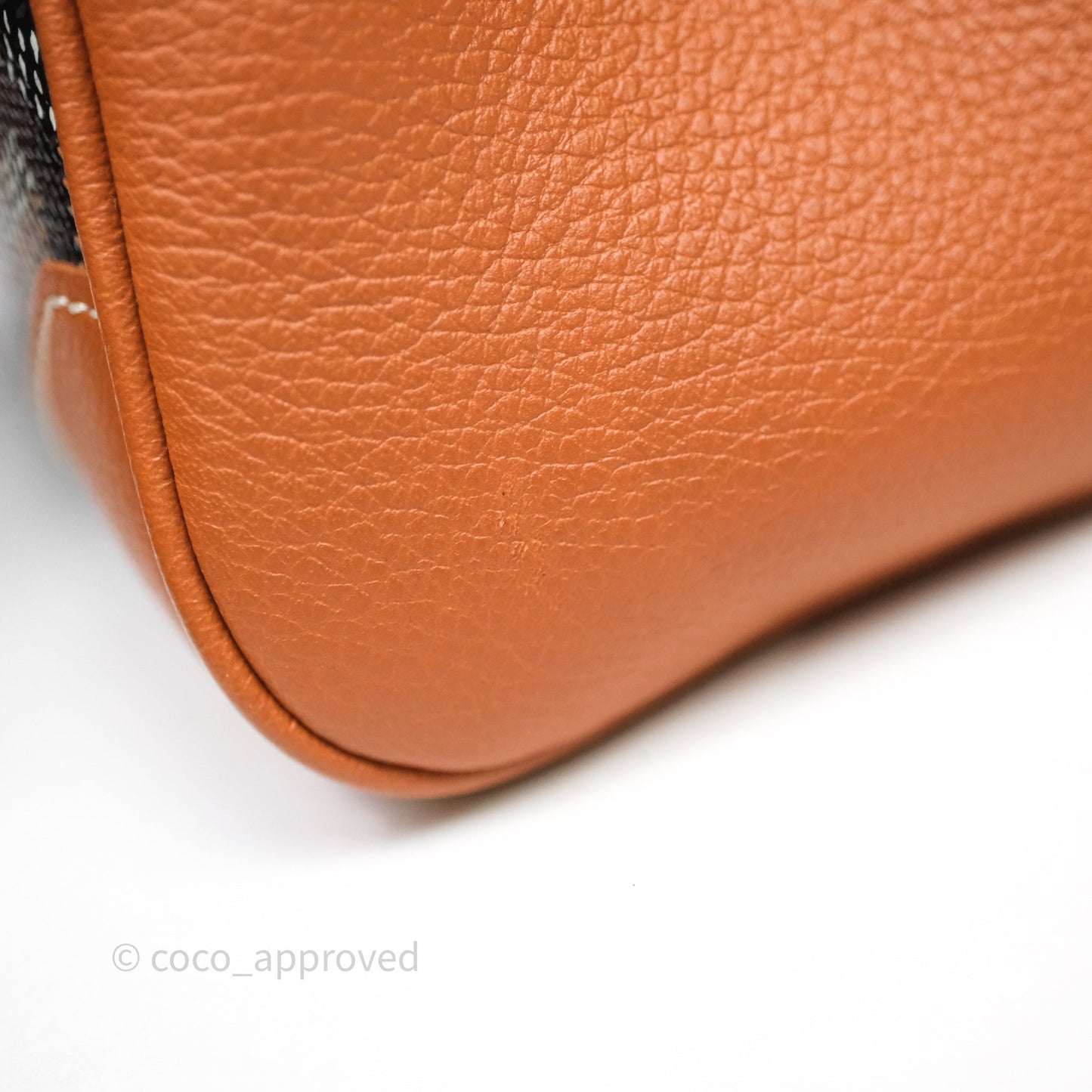 Goyard Saïgon Mini Bag Tan Goyardine Canvas/Chevroches Calfskin