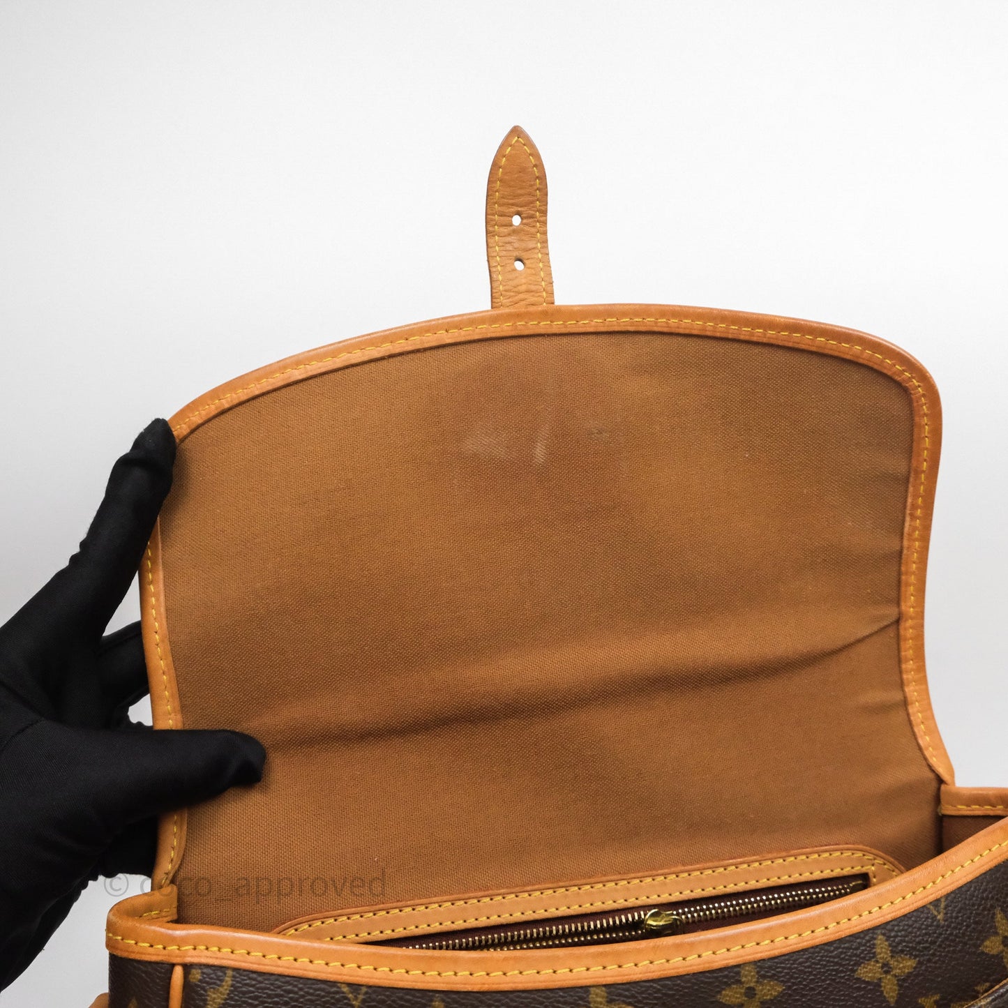 Louis Vuitton Vintage Diane Bag Monogram Canvas