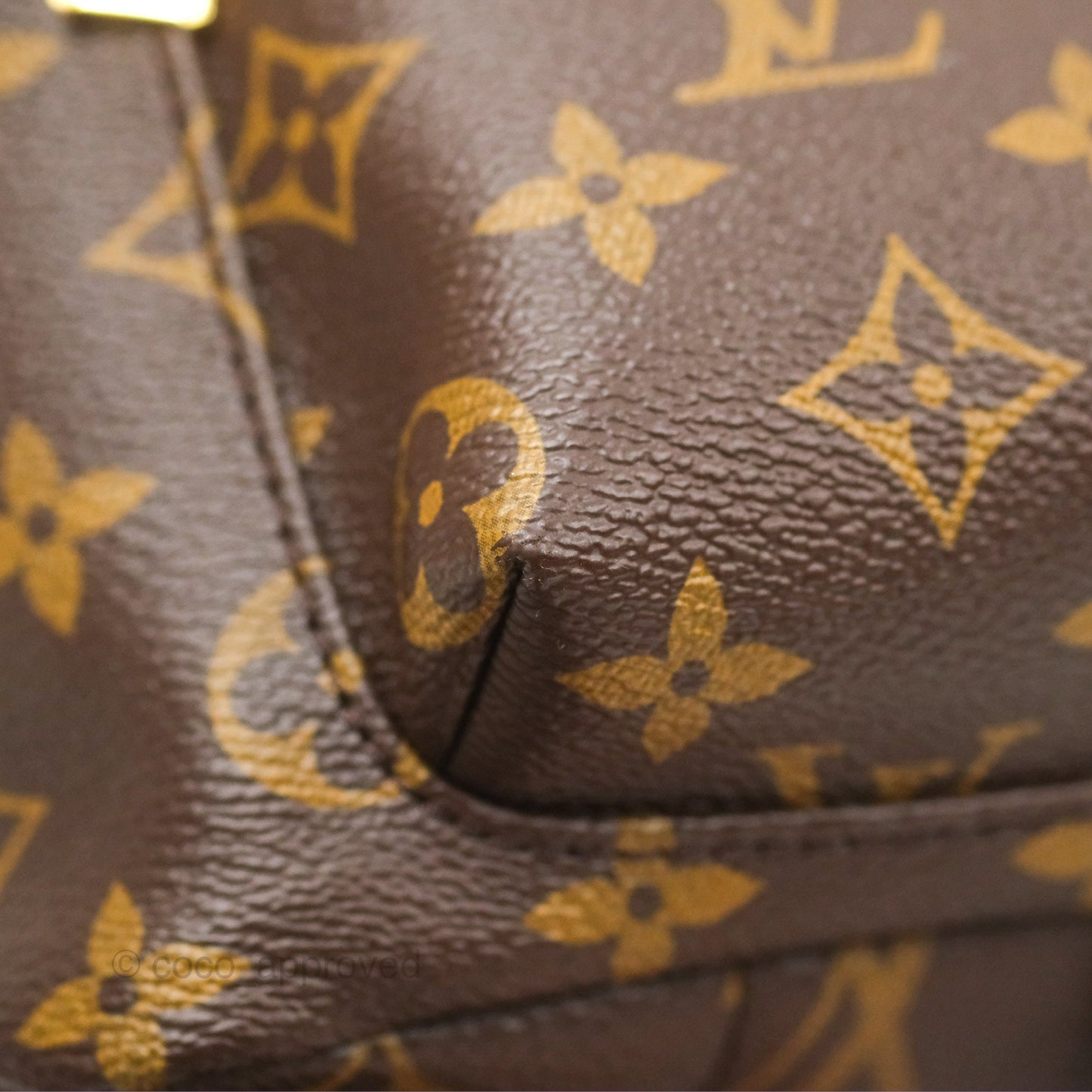 Louis Vuitton Palm Springs Backpack⁣ Monogram PM