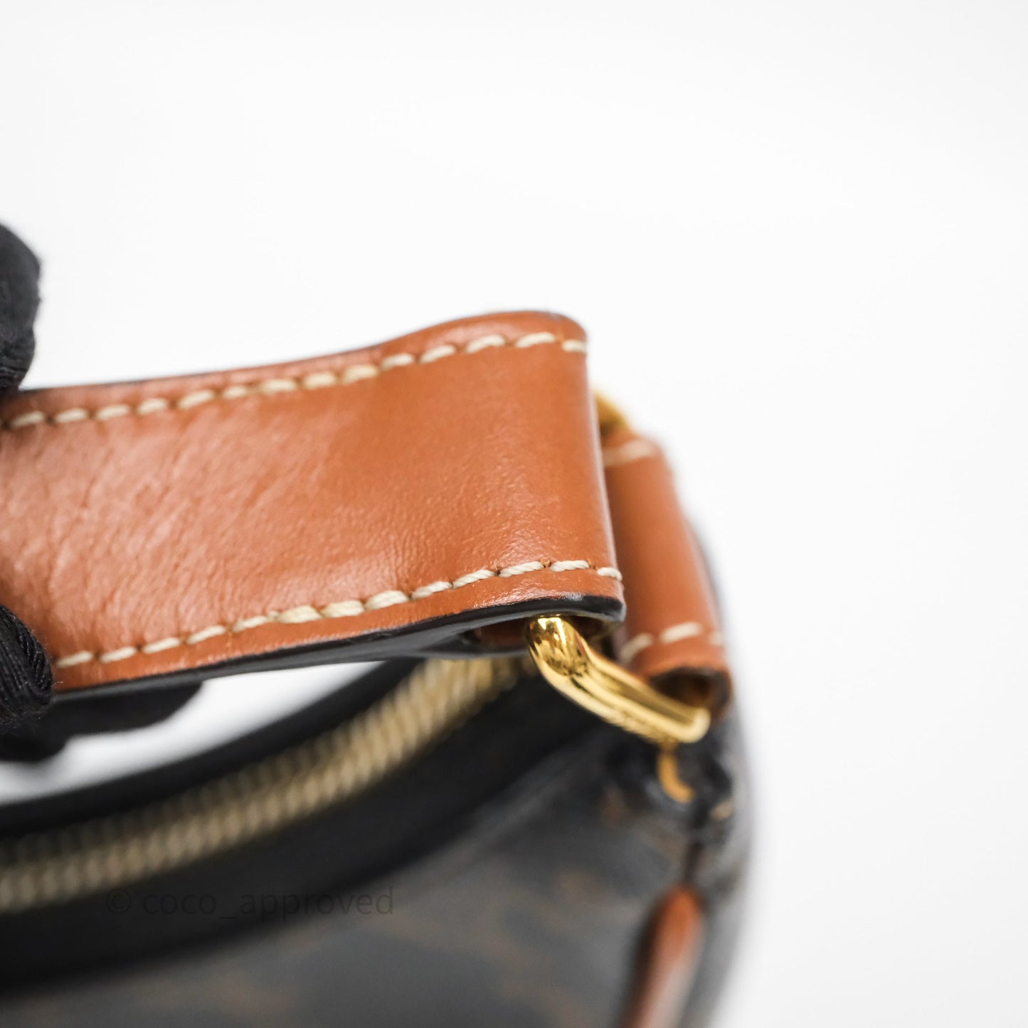 Celine Medium Ava Bag In Triomphe Canvas Calfskin Tan