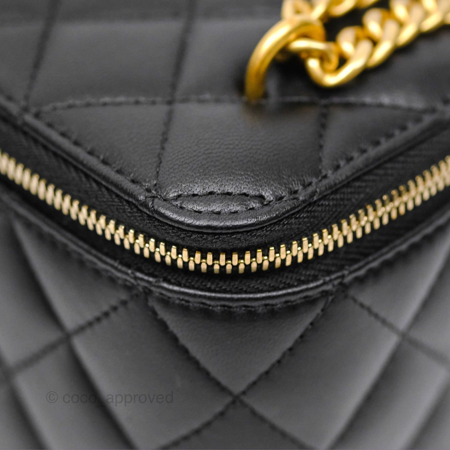 Chanel Quilted Vanity Rectangular with Camellia Adjustable Chain Black Lambskin 23S
