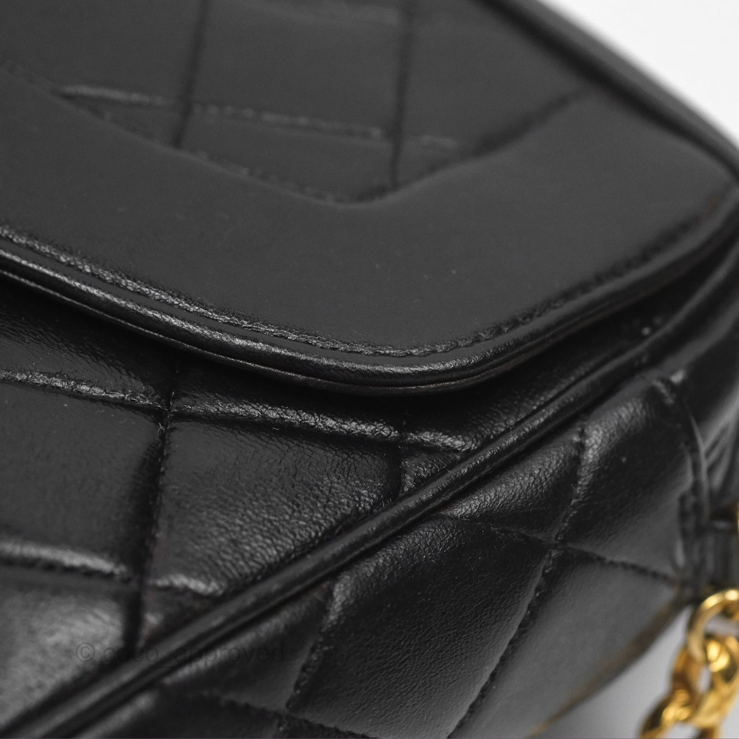 Chanel Vintage Diana Fringe Camera Bag Black Lambskin 24K Gold Hardware