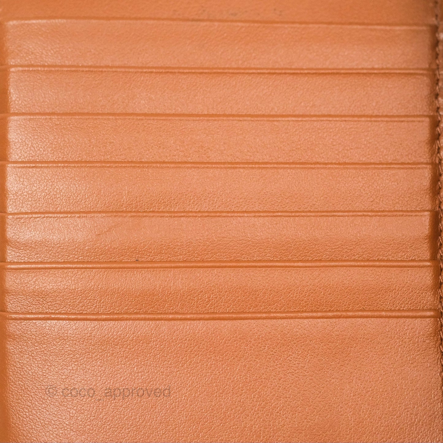 Celine Medium Strap Wallet In Triomphe Canvas Tan Lambskin