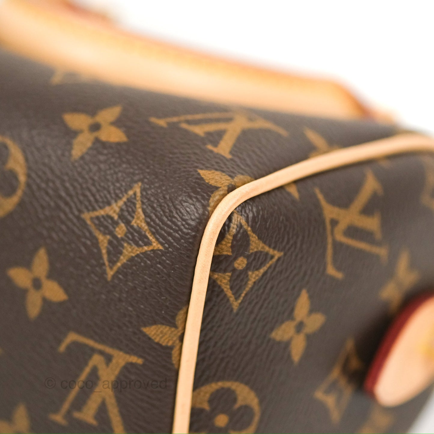 Louis Vuitton Speedy Bandoulière 20 Monogram