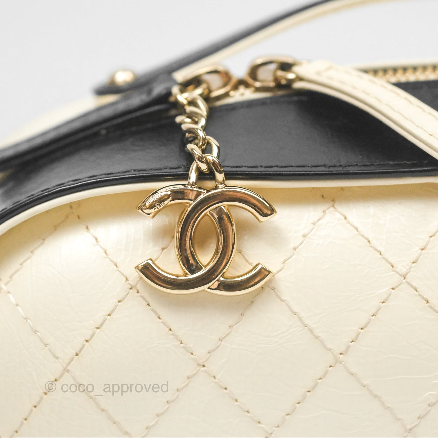 Chanel Camera Case Bag Black/White Calfskin Gold Hardware
