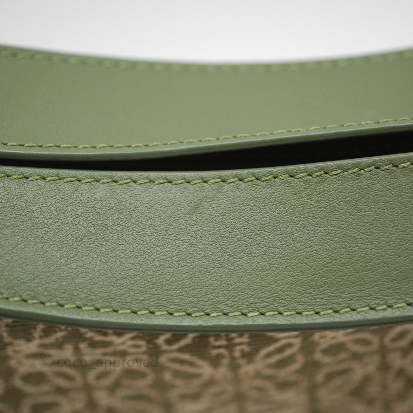 Loewe Small Luna Anagram Shoulder Bag Green Calfskin Jacquard