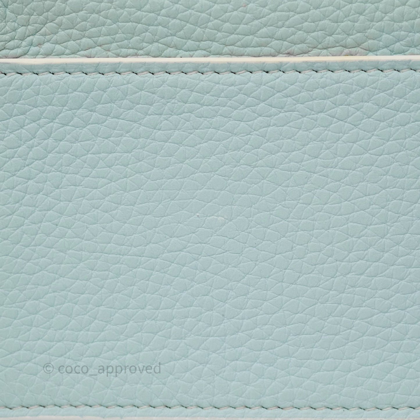 Delvaux Cool Box Mini Taurillon Soft Grained Calfskin Celadon