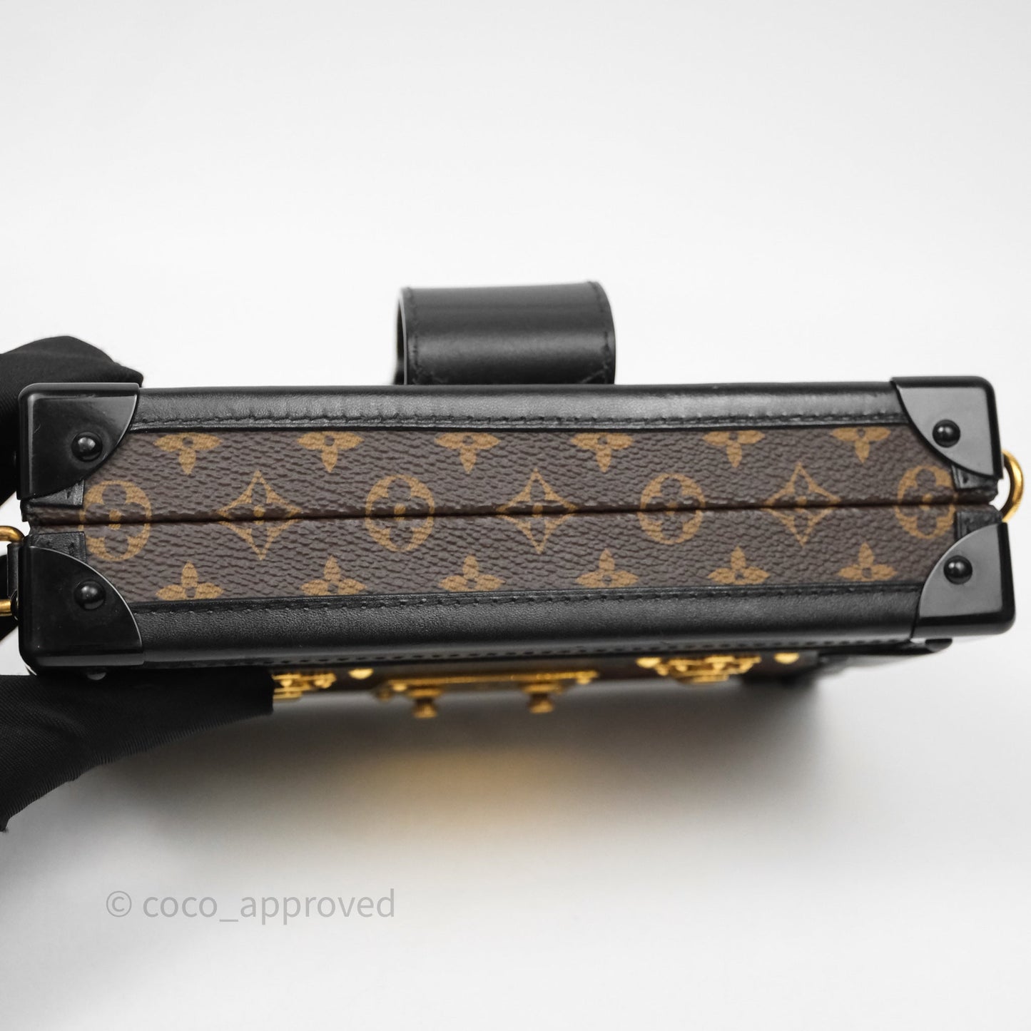 Louis Vuitton Monogram Petite Malle