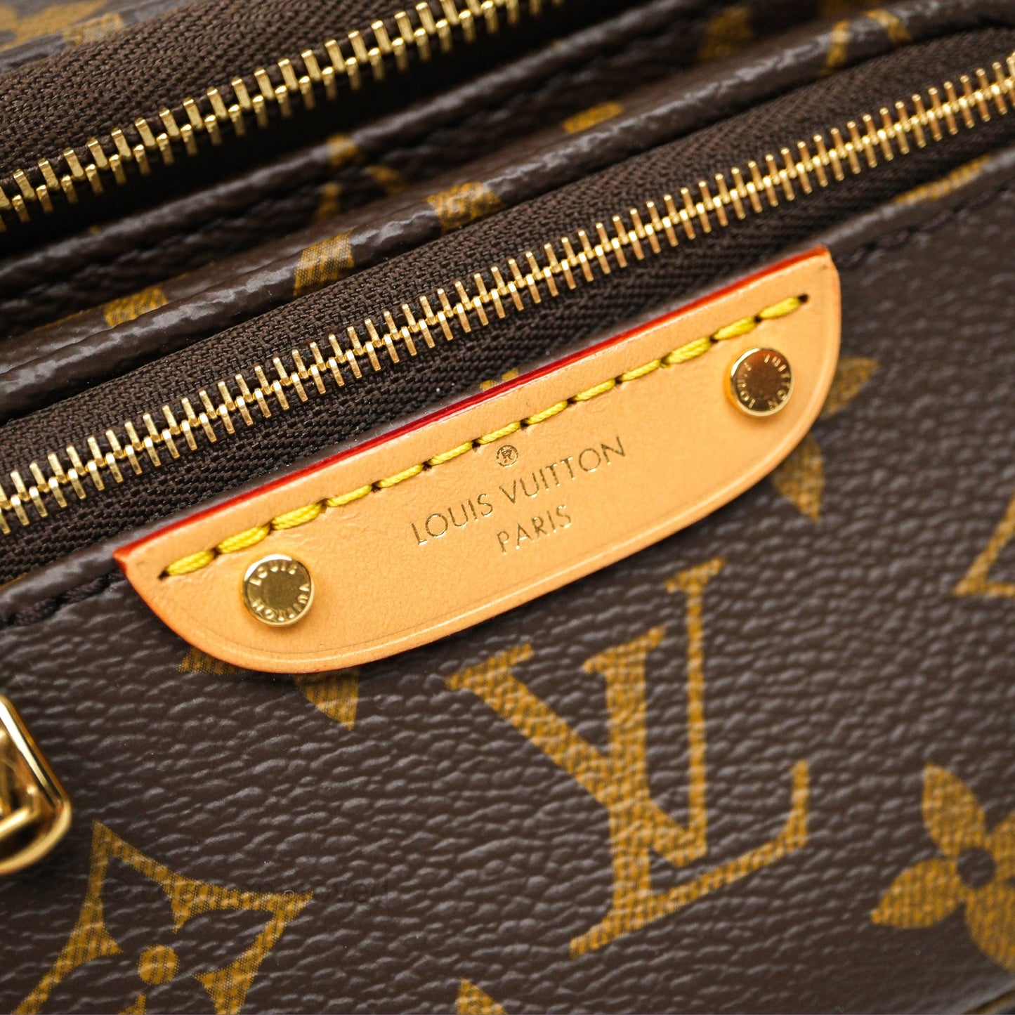 Louis Vitton Mini Bumbag in Monogram Canvas