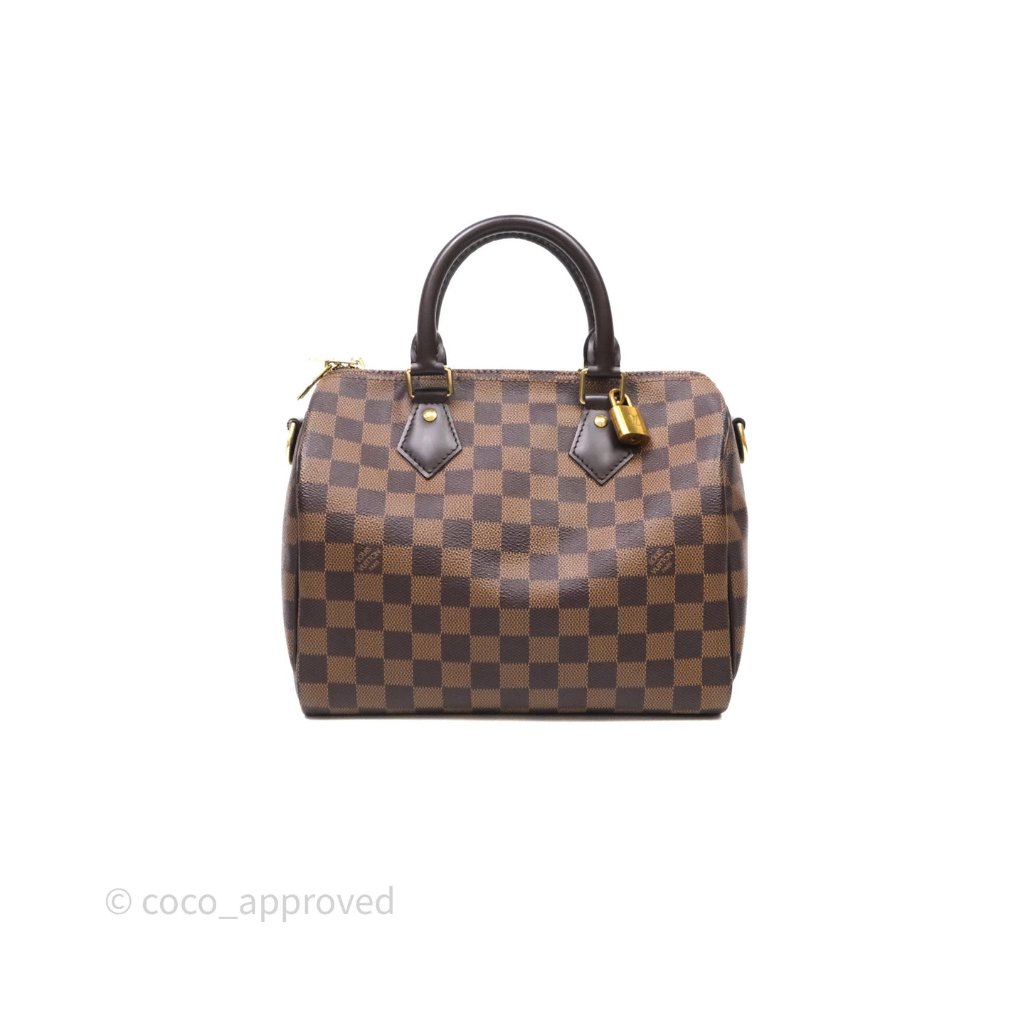 Louis Vuitton Speedy 25 Damier Canvas Gold Hardware