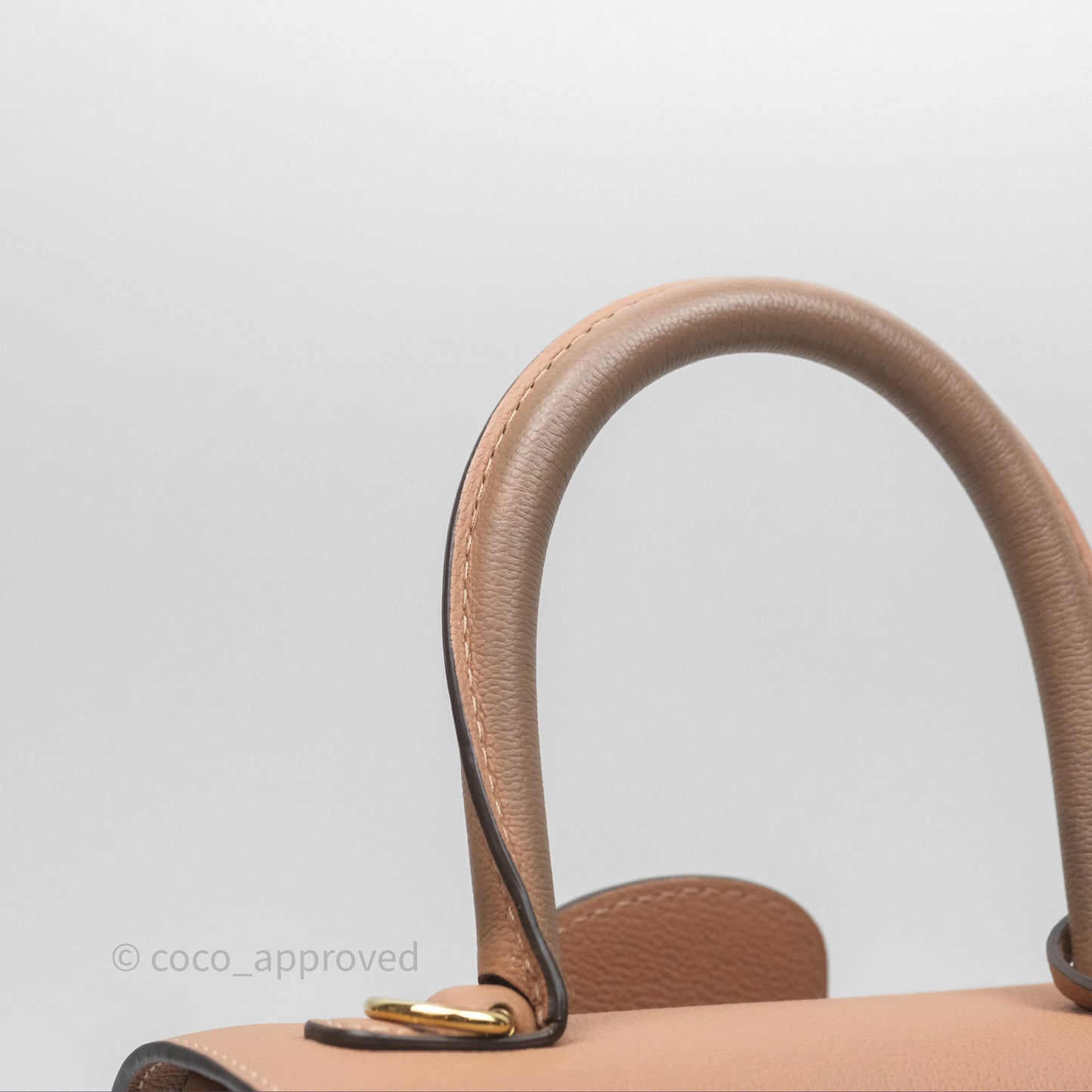 Delvaux Mini Brillant Bag Vison Grained Calfskin Gold Hardware with Twilly